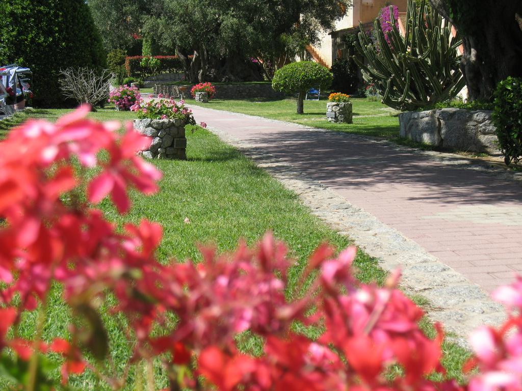 Villaggio L'Olivara 特罗佩阿 外观 照片
