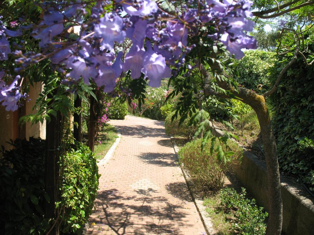 Villaggio L'Olivara 特罗佩阿 外观 照片