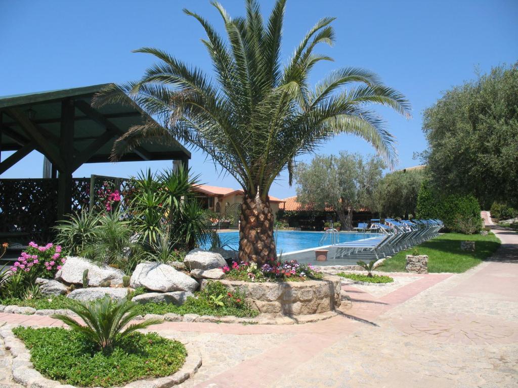 Villaggio L'Olivara 特罗佩阿 外观 照片
