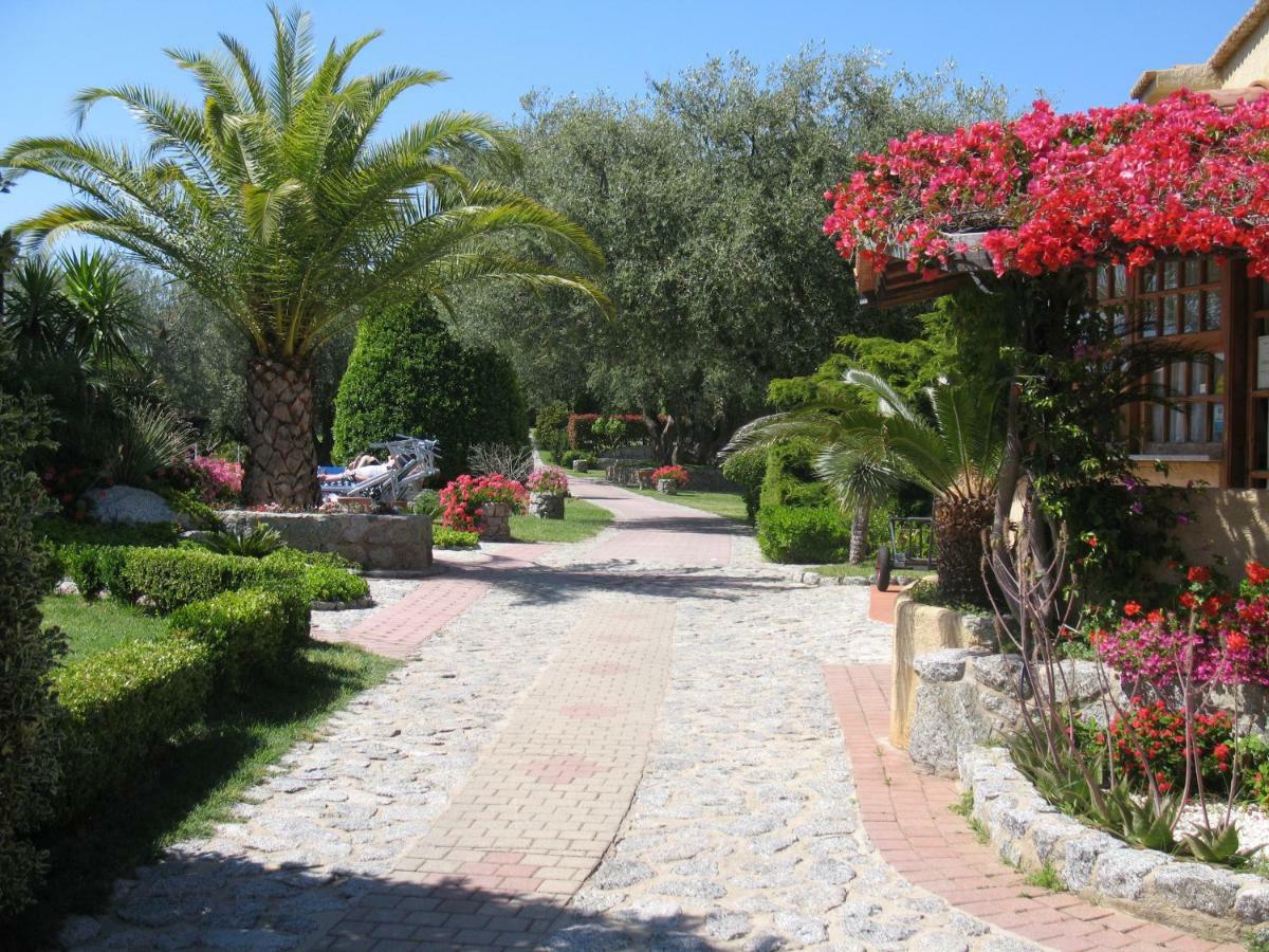 Villaggio L'Olivara 特罗佩阿 外观 照片